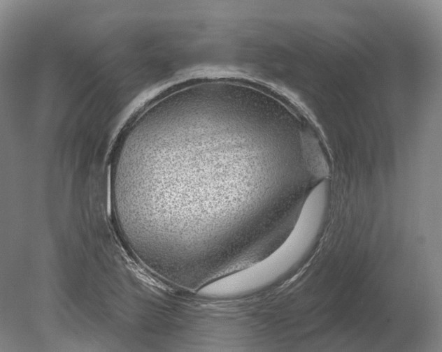 X0000080791175200701051346