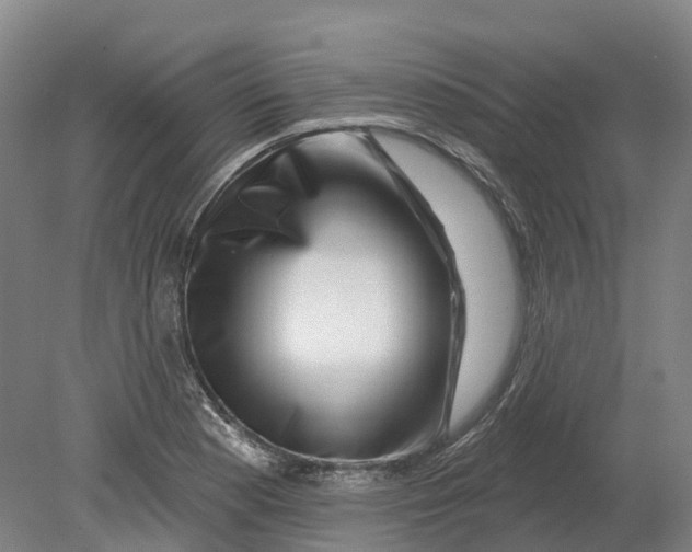 X0000080791177200701051346
