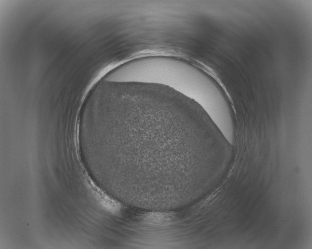 X0000080791179200701051346