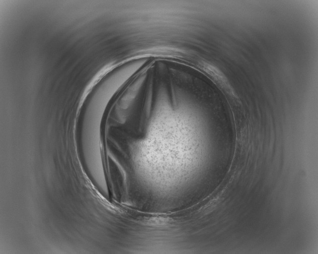 X0000080791180200701051345