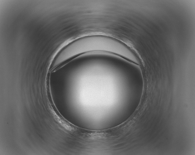 X0000080791181200701051345