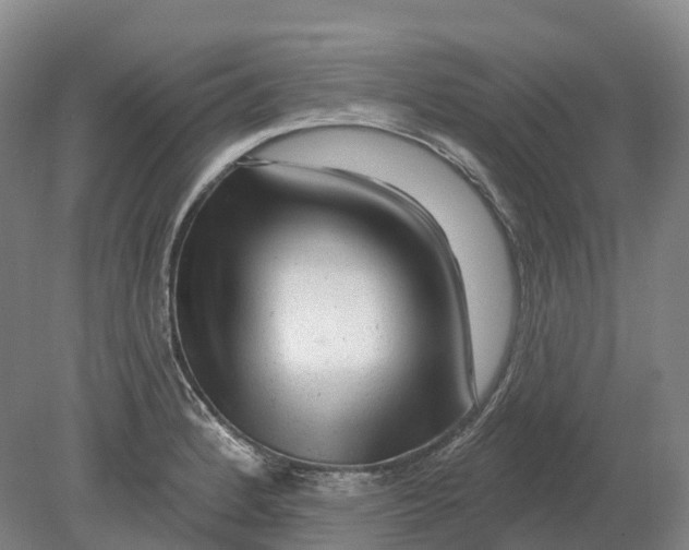 X0000080791184200701051345