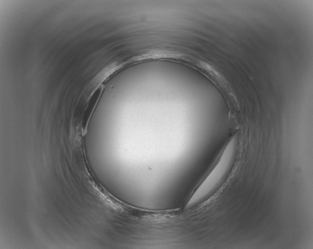 X0000080791185200701051345
