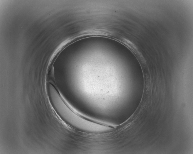 X0000080791188200701051345