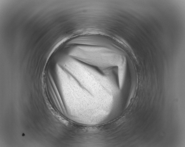 X0000080791190200701051345