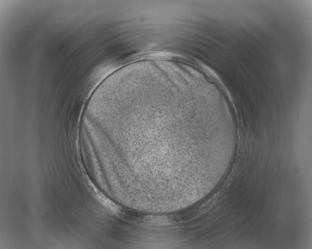 X0000080791194200701051345