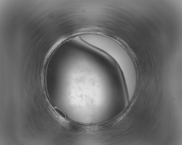X0000080791196200701051345