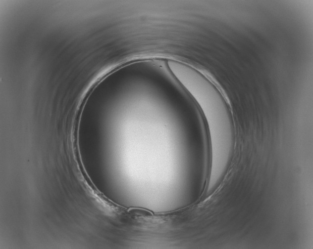 X0000080791197200701051345