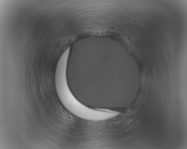 X0000080791202200701051344