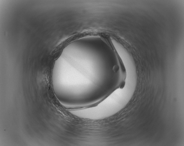X0000080791206200701051344