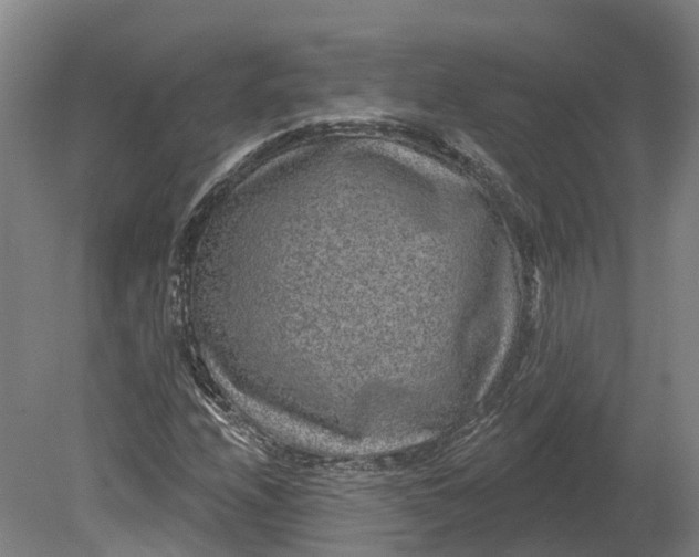 X0000080791208200701051344