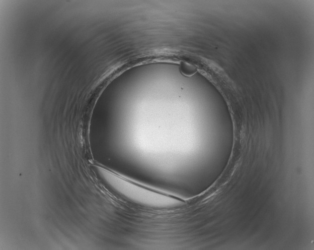 X0000080791209200701051344