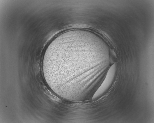 X0000080791212200701051345