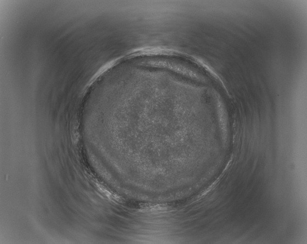 X0000080791213200701051345