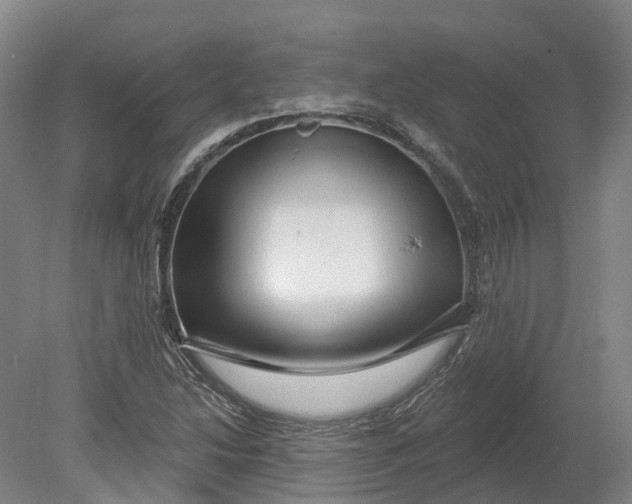 X0000080791214200701051345