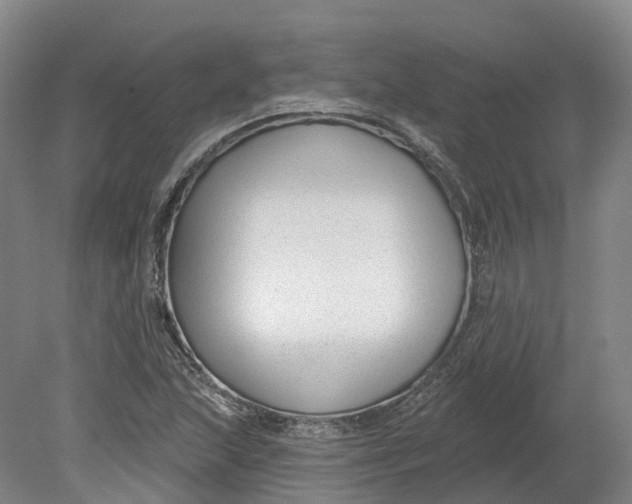 X0000080791215200701051345