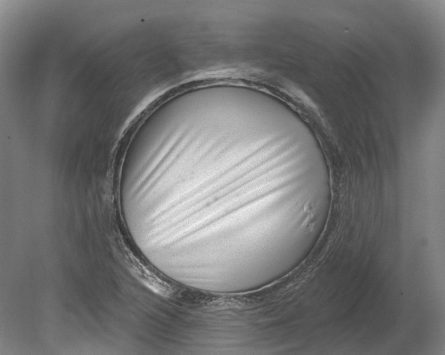 X0000080791216200701051345