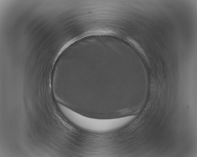 X0000080791226200701051345