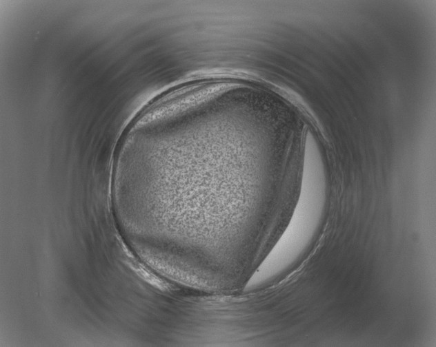 X0000080791228200701051345