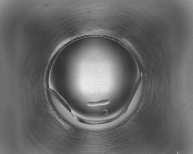 X0000080791230200701051345
