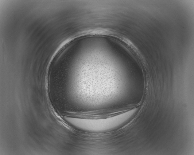 X0000080791232200701051345