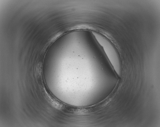 X0000080791233200701051345