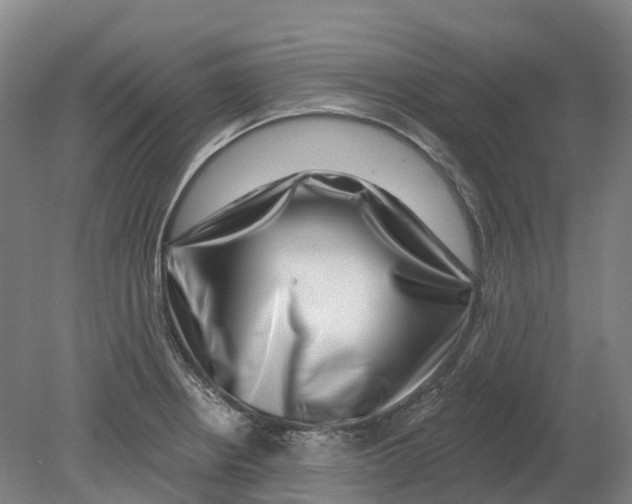 X0000080791234200701051345