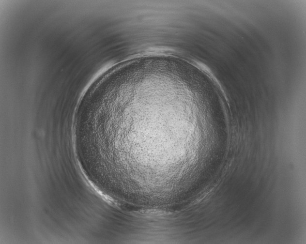X0000080791235200701051345