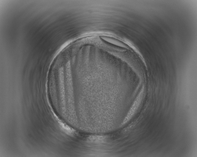 X0000080791237200701051345