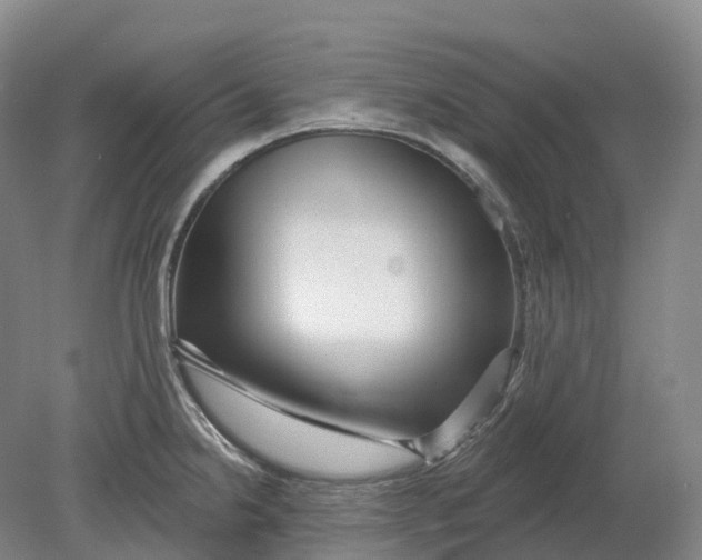 X0000080791238200701051345