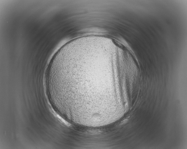 X0000080791243200701051345
