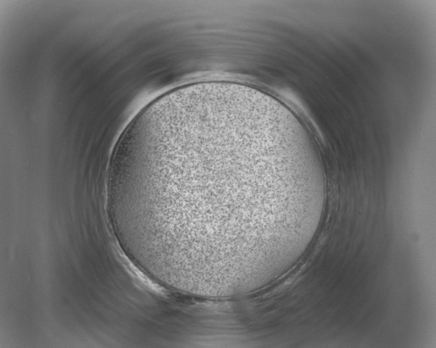 X0000080791244200701051345