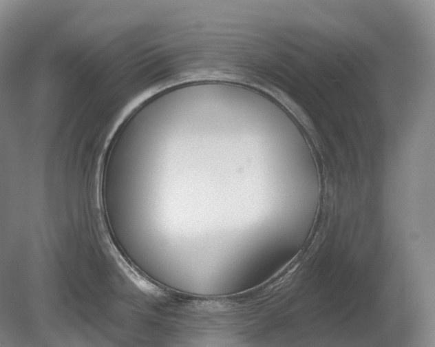 X0000080791246200701051345