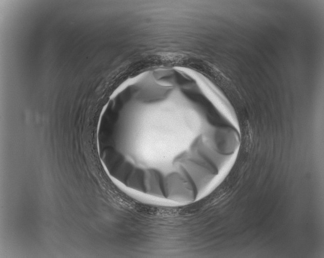 X0000080791249200701051344