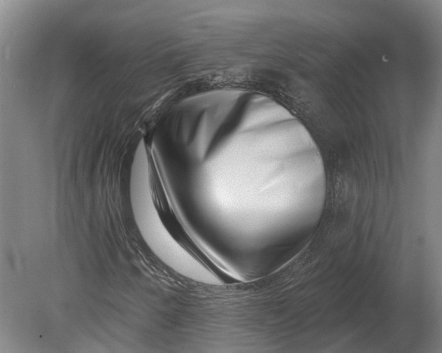 X0000080791250200701051344