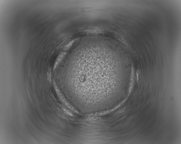 X0000080791251200701051344