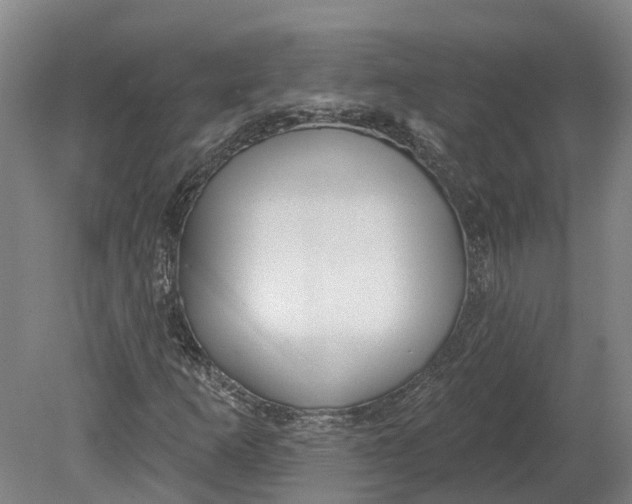 X0000080791253200701051344
