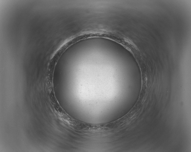 X0000080791256200701051344