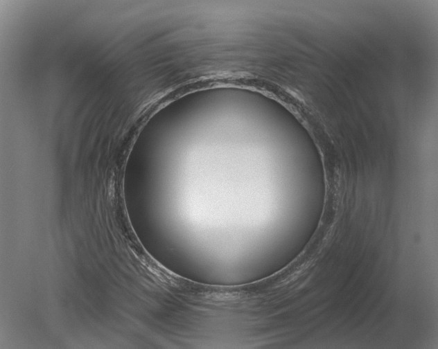 X0000080791257200701051344