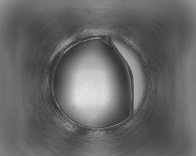 X0000080791261200701051344