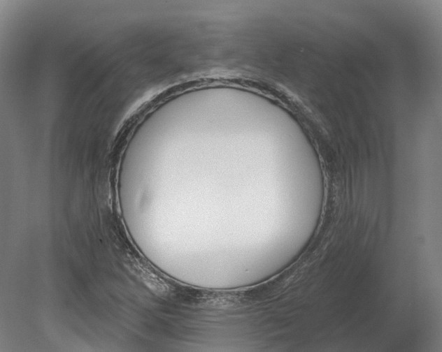 X0000080791262200701051344