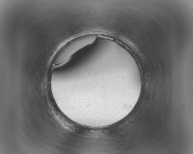 X0000080791264200701051344