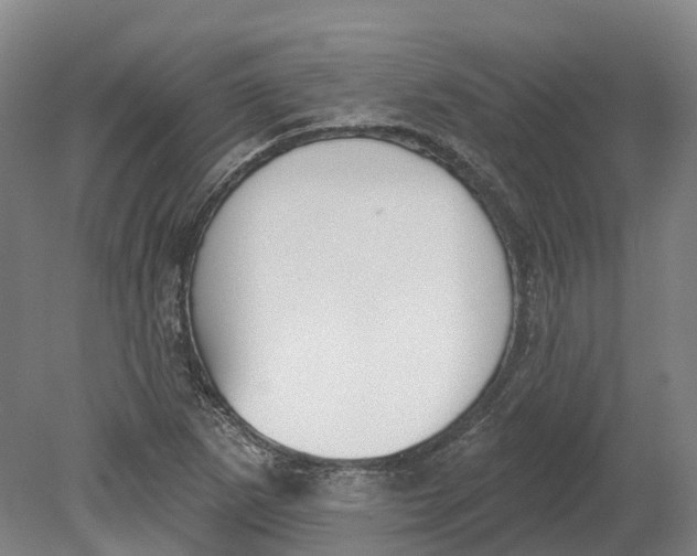 X0000080791265200701051344
