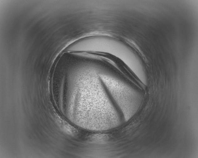 X0000080791268200701051344