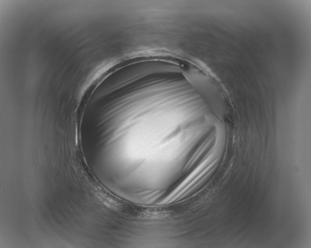 X0000080791269200701051344