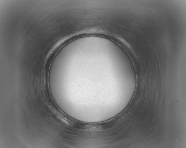 X0000080791270200701051344