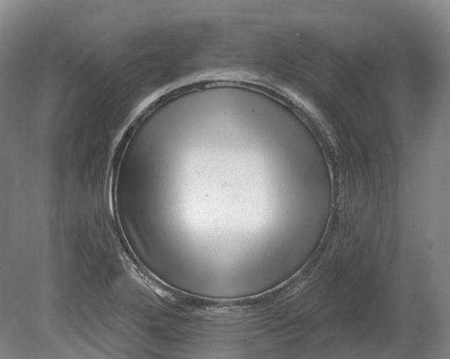 X0000080791272200701051344