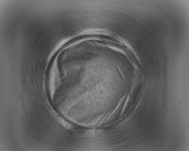 X0000080791277200701051344
