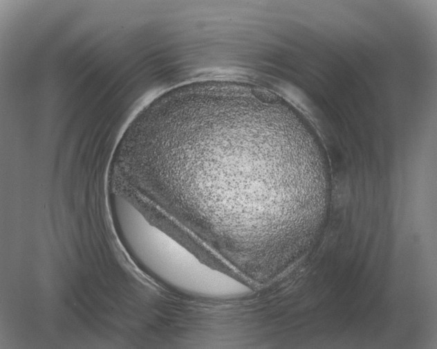 X0000080791283200701051344