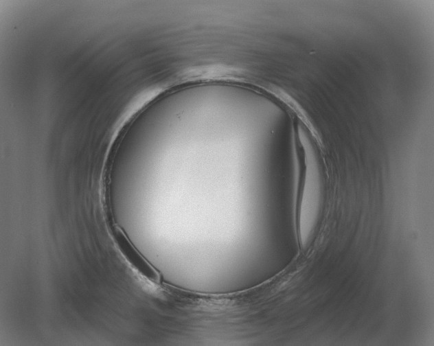 X0000080791285200701051344